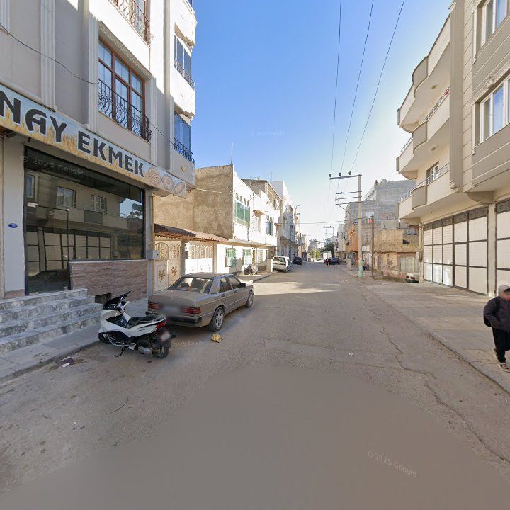 Fotoğraf 4
