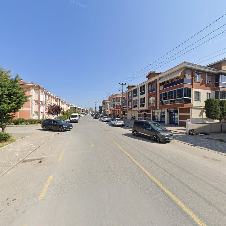 Fotoğraf 9