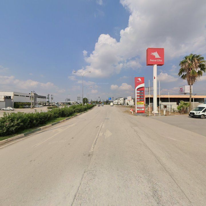 Fotoğraf 5