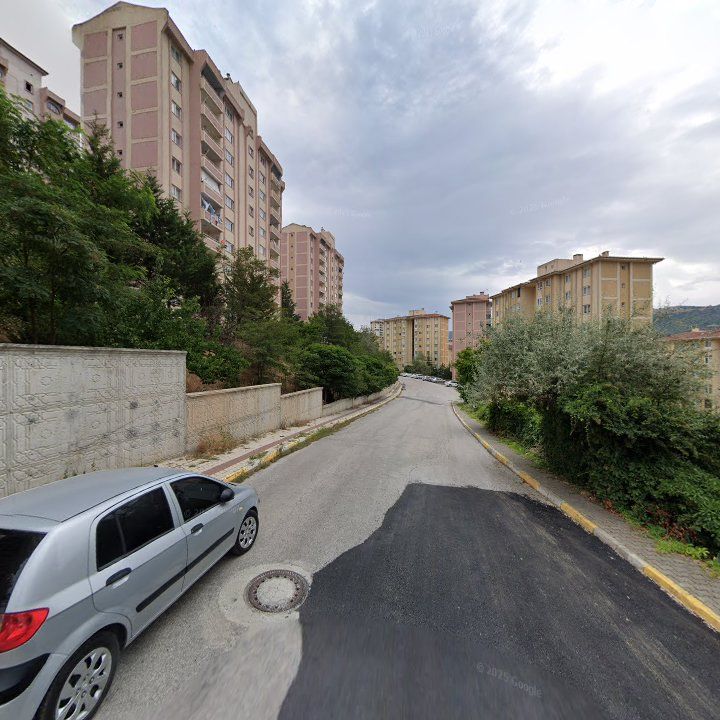 Fotoğraf 3