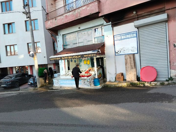 ALTAY BALIKÇILIK