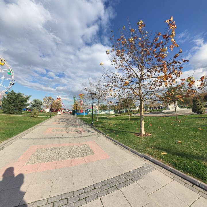 Fotoğraf 8