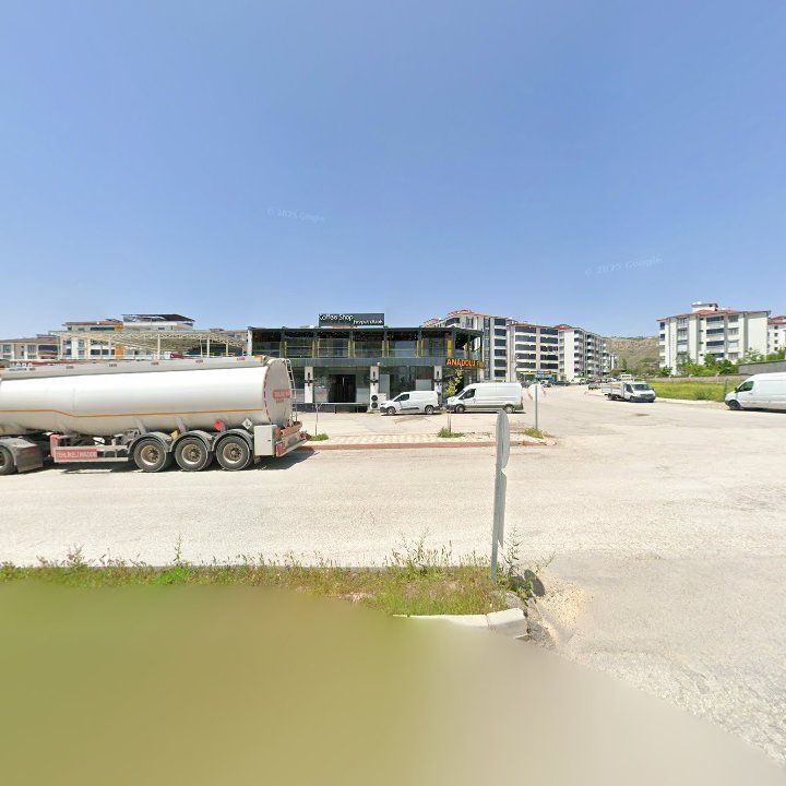 Fotoğraf 15