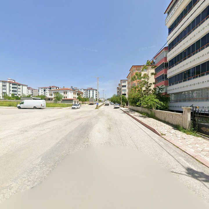 Fotoğraf 16