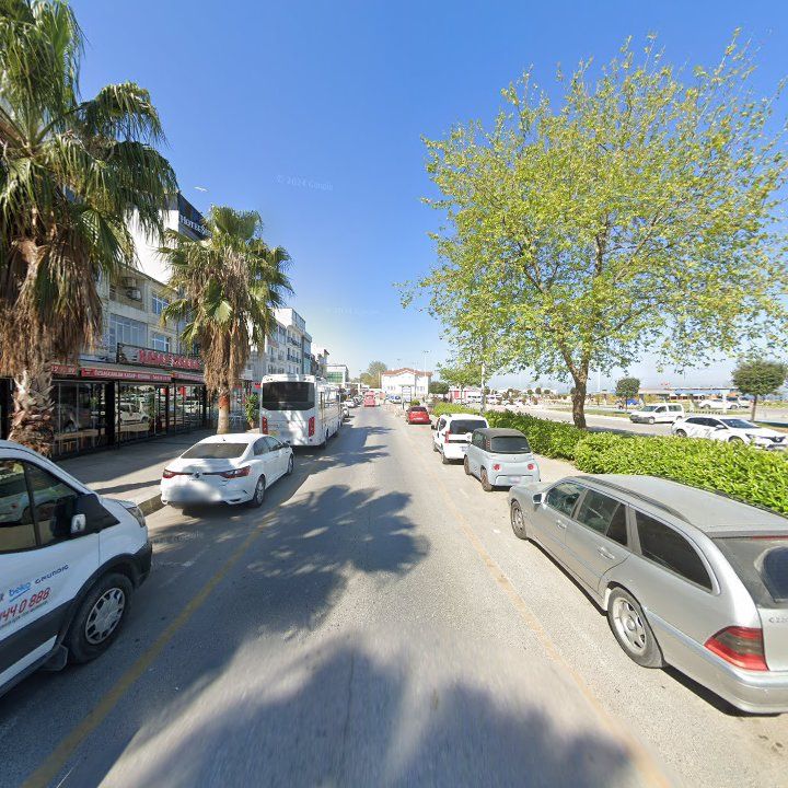 Fotoğraf 7