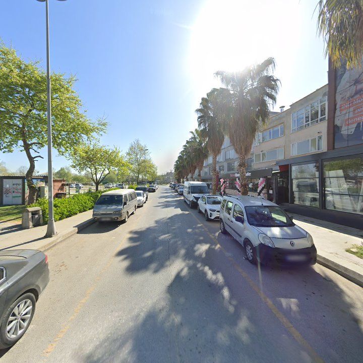 Fotoğraf 10