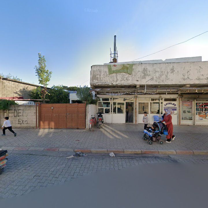 Fotoğraf 3