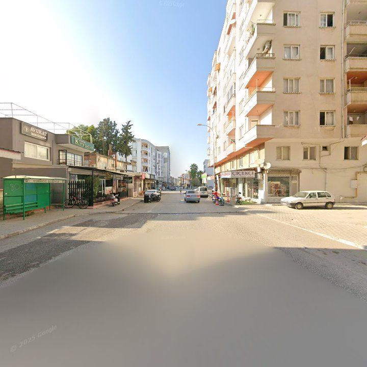 Fotoğraf 13