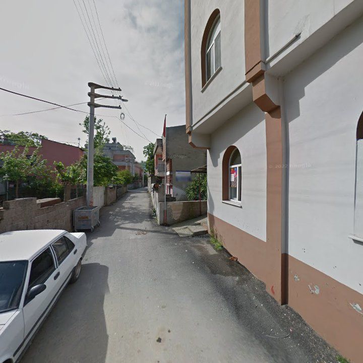 Fotoğraf 3