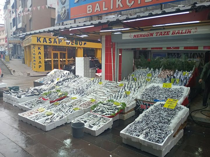 Aydoğan Balıkçılık