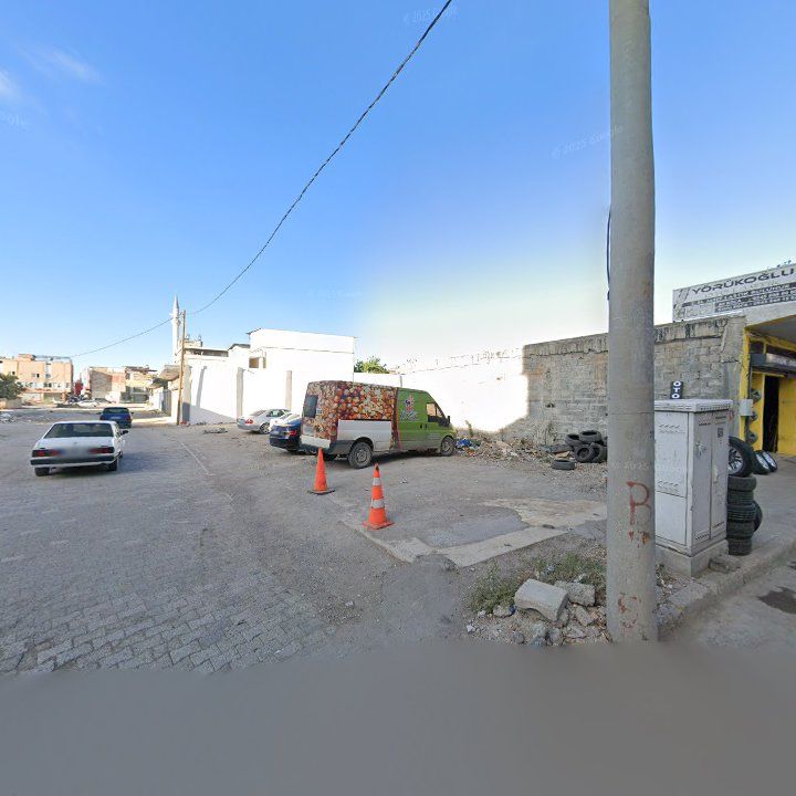 Fotoğraf 5