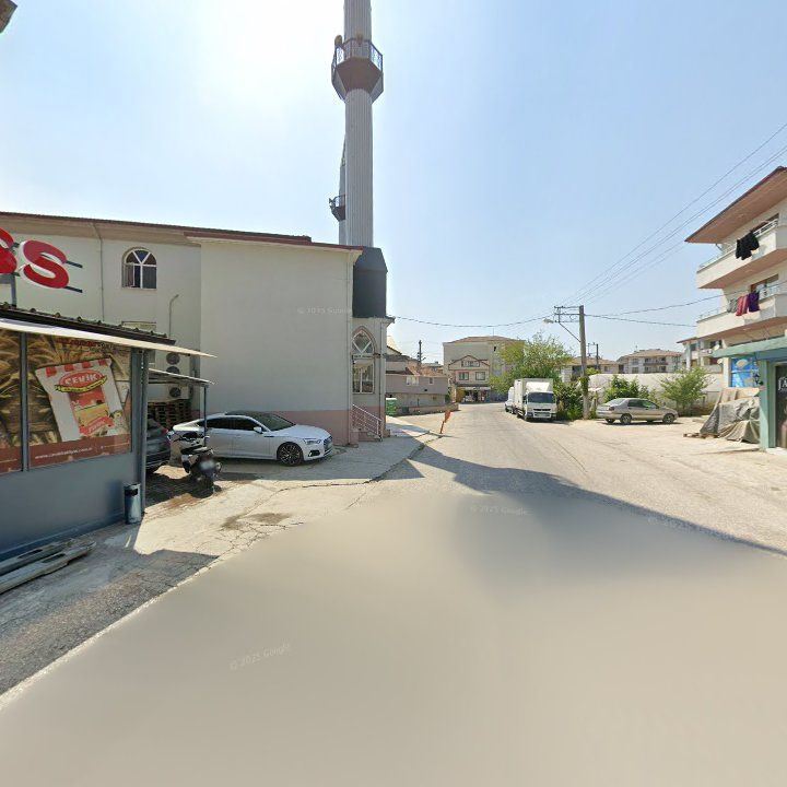 Fotoğraf 7