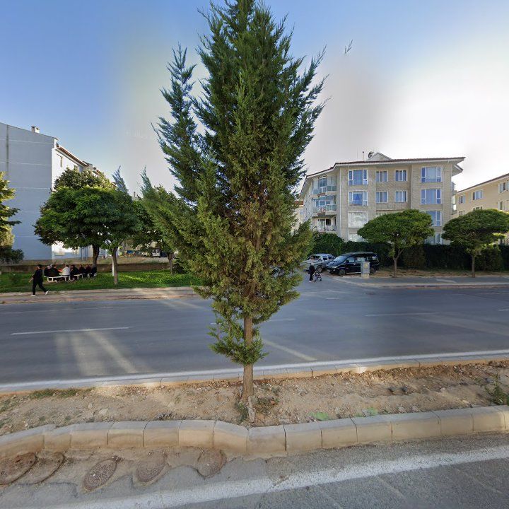 Fotoğraf 4