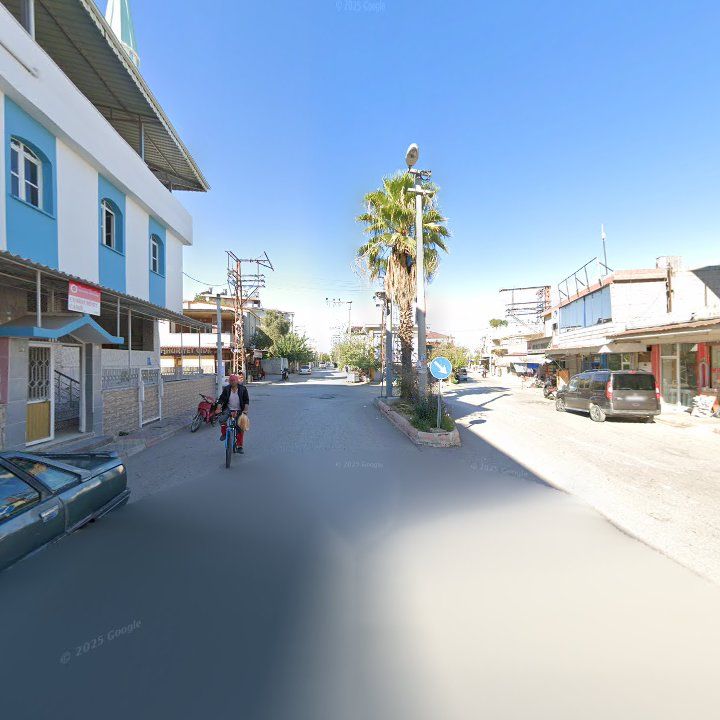 Fotoğraf 5