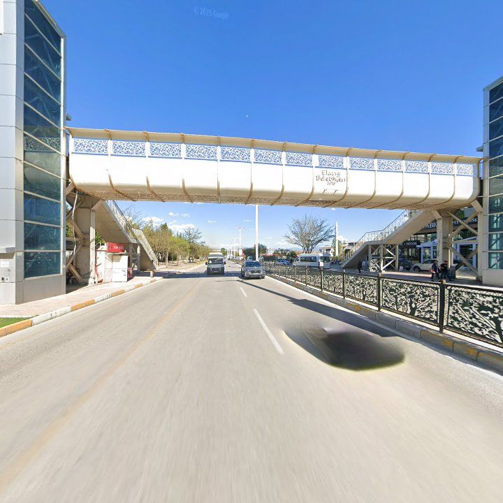 Fotoğraf 14