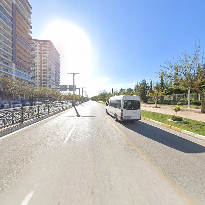 Fotoğraf 12