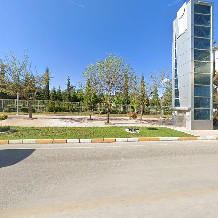 Fotoğraf 13