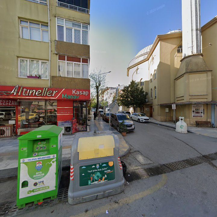 Fotoğraf 11