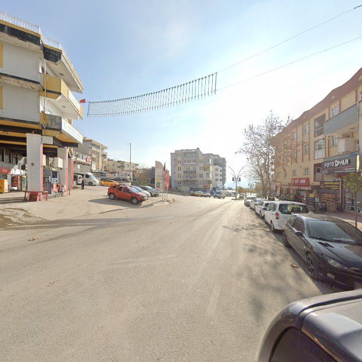 Fotoğraf 5