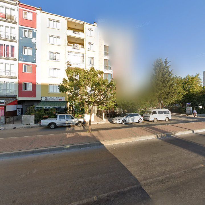 Fotoğraf 5