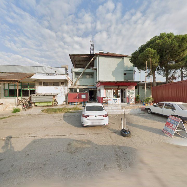 Fotoğraf 6