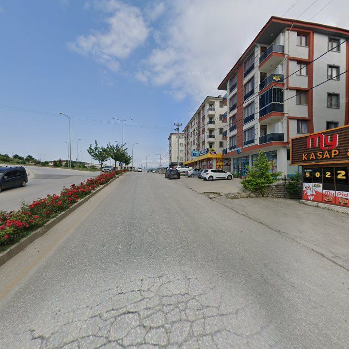 Fotoğraf 8