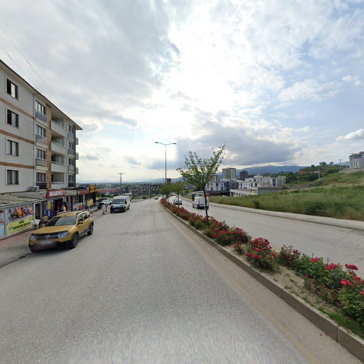 Fotoğraf 6