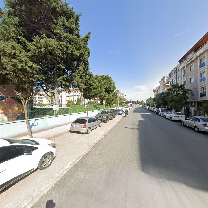 Fotoğraf 7