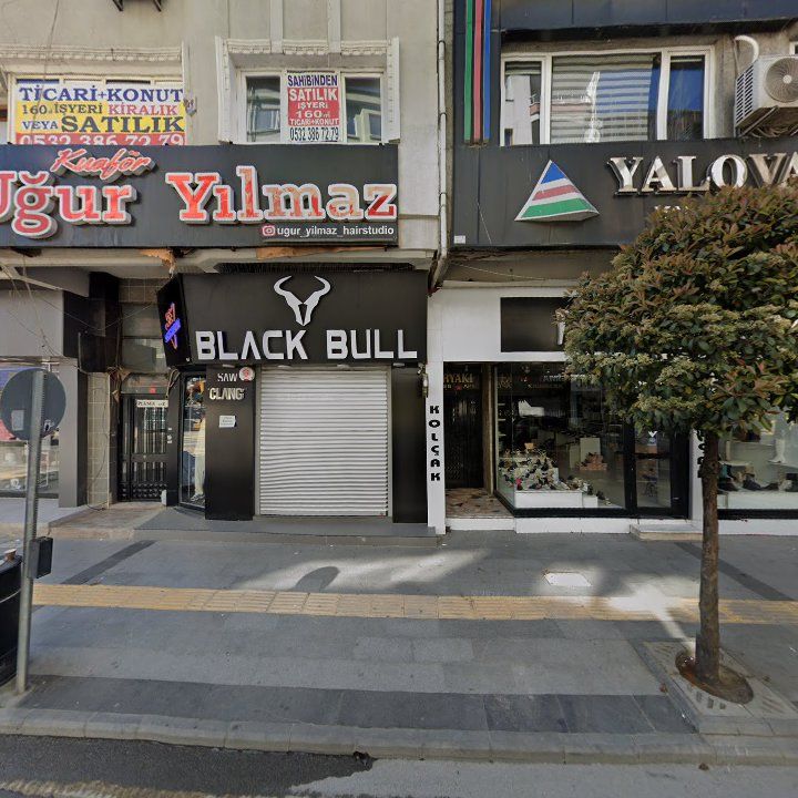 Biz Izgara