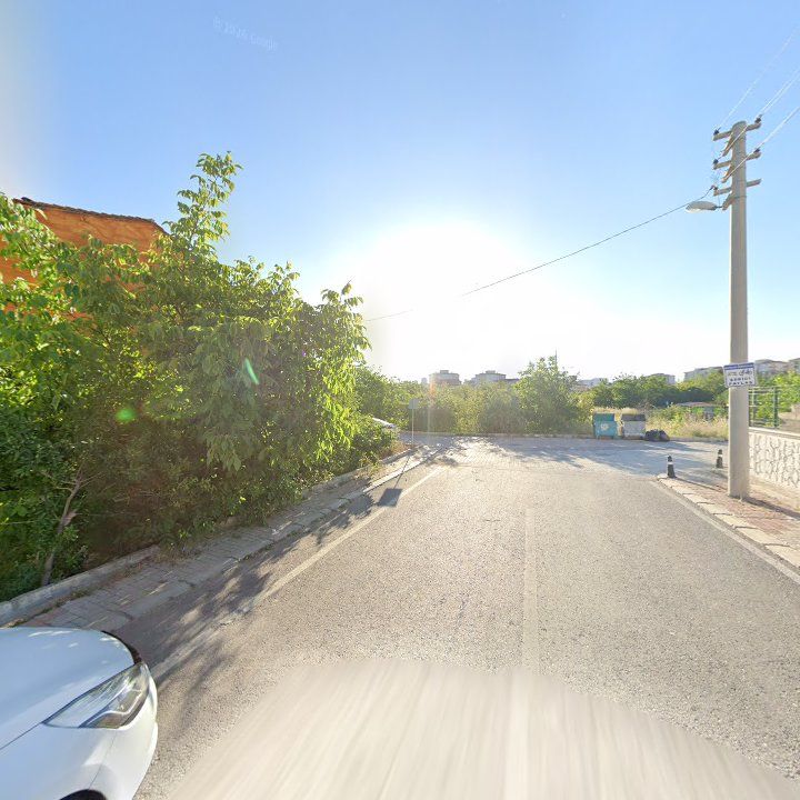 Fotoğraf 2