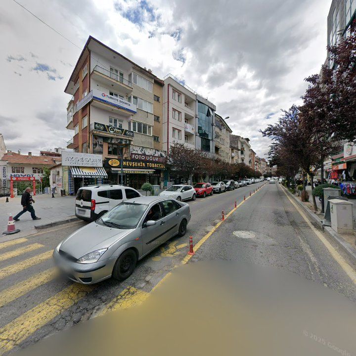 Fotoğraf 8