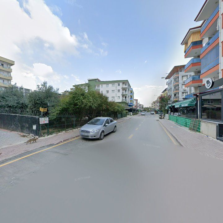 Fotoğraf 7