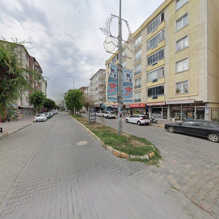 Fotoğraf 3