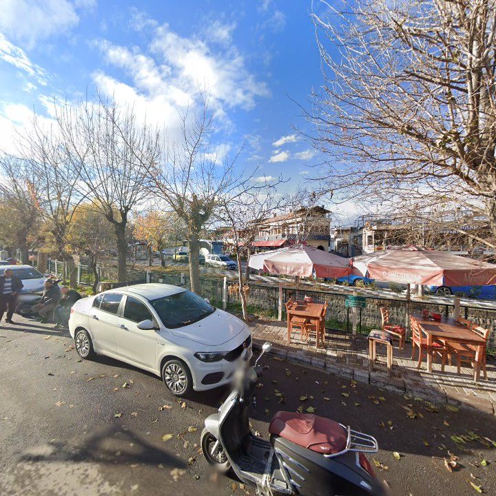 Fotoğraf 12