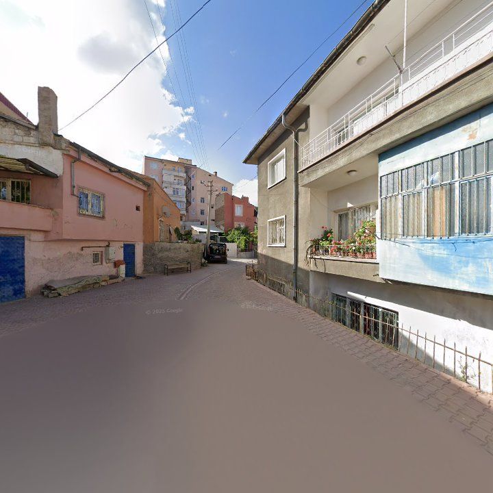 Fotoğraf 7