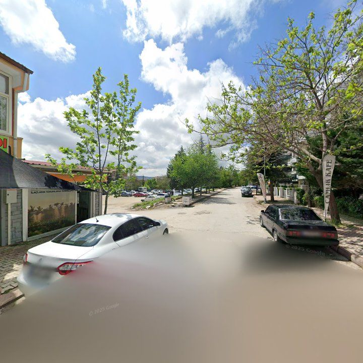 Fotoğraf 9