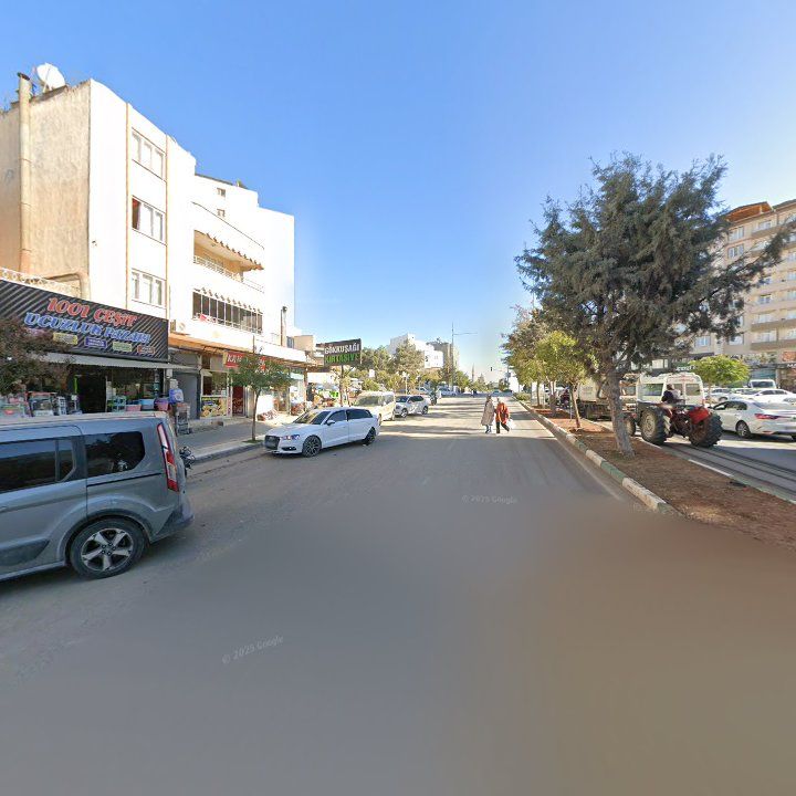 Fotoğraf 3