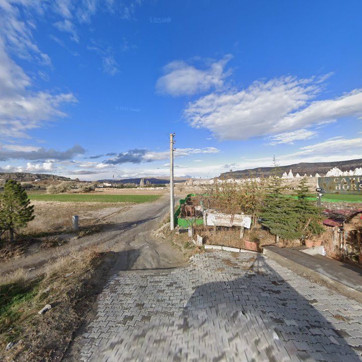 Fotoğraf 13