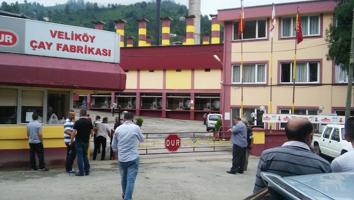 Çaykur Veliköy Çay Fabrikası