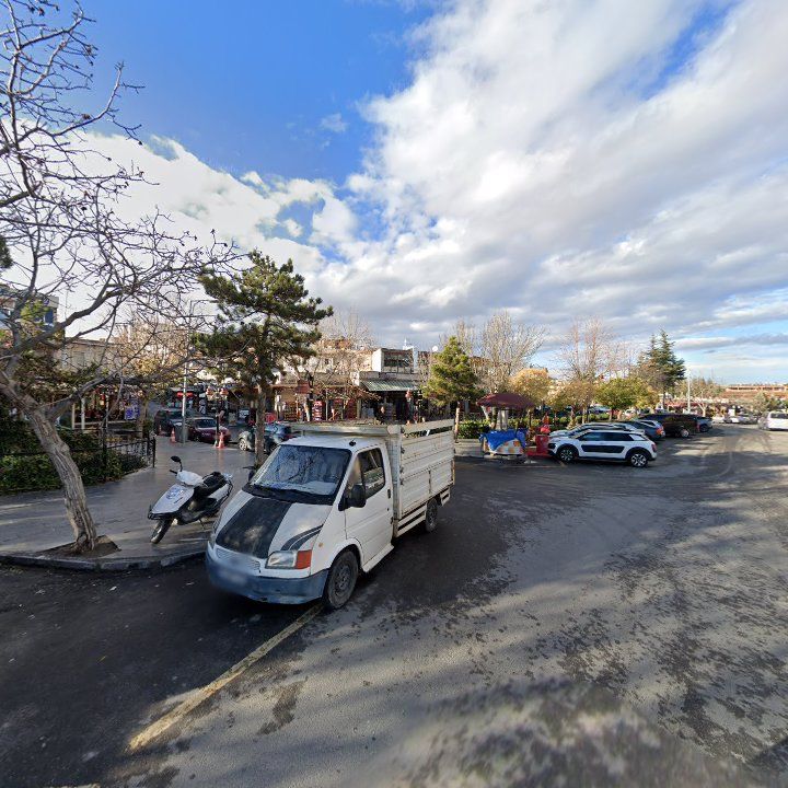Fotoğraf 15