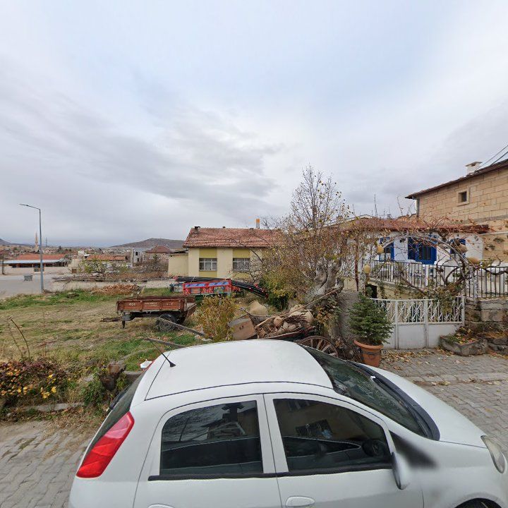 Fotoğraf 12