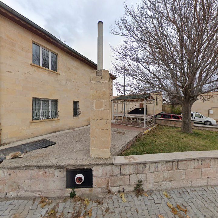 Fotoğraf 10