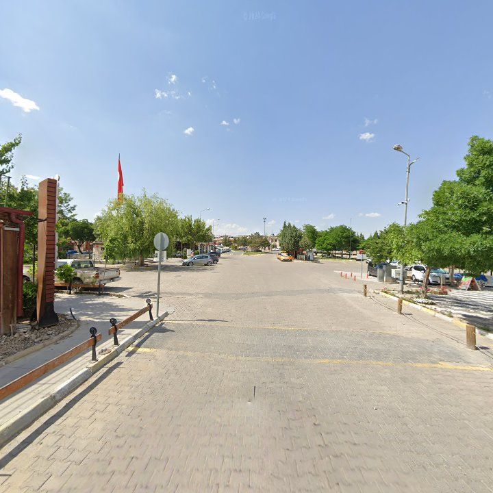 Fotoğraf 7