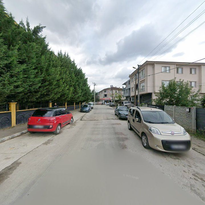 Fotoğraf 4