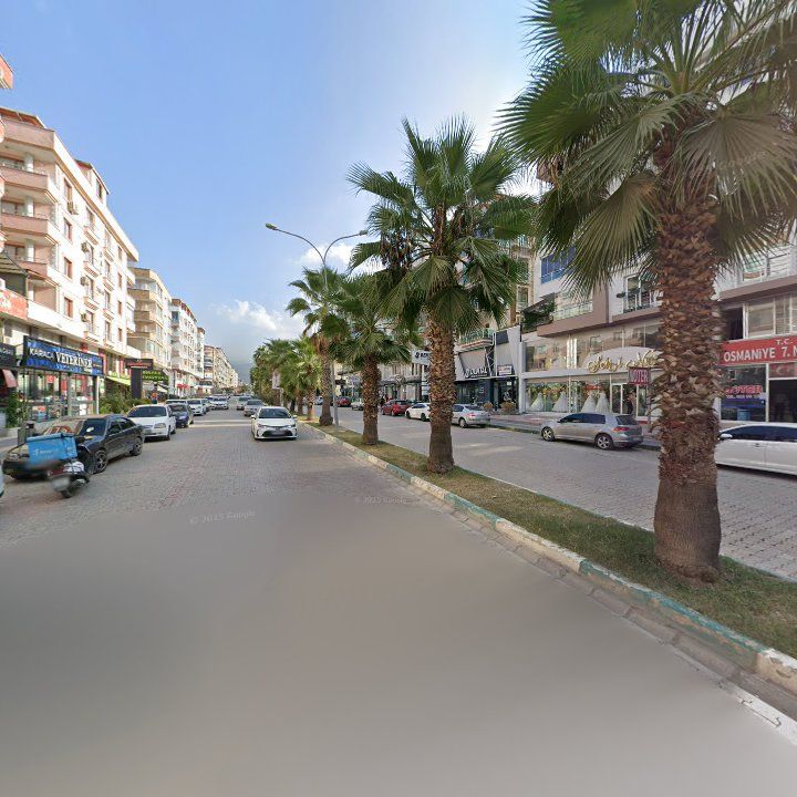 Fotoğraf 10