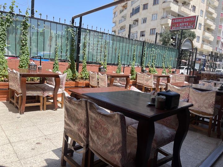 Ciğerci Şenyüz
