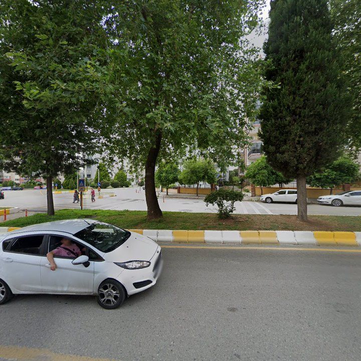 Fotoğraf 9