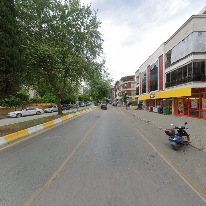 Fotoğraf 10