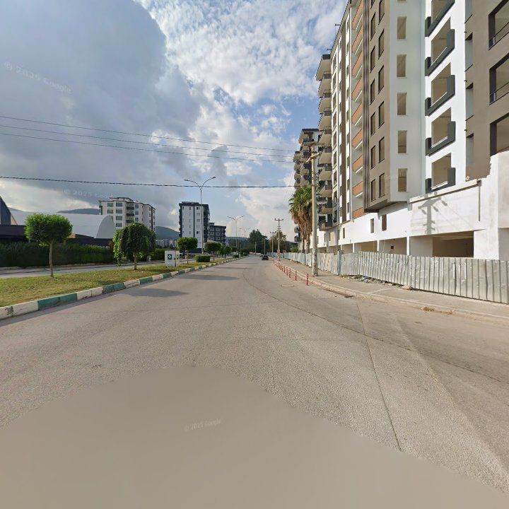 Fotoğraf 11