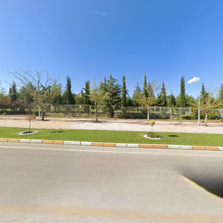 Fotoğraf 11